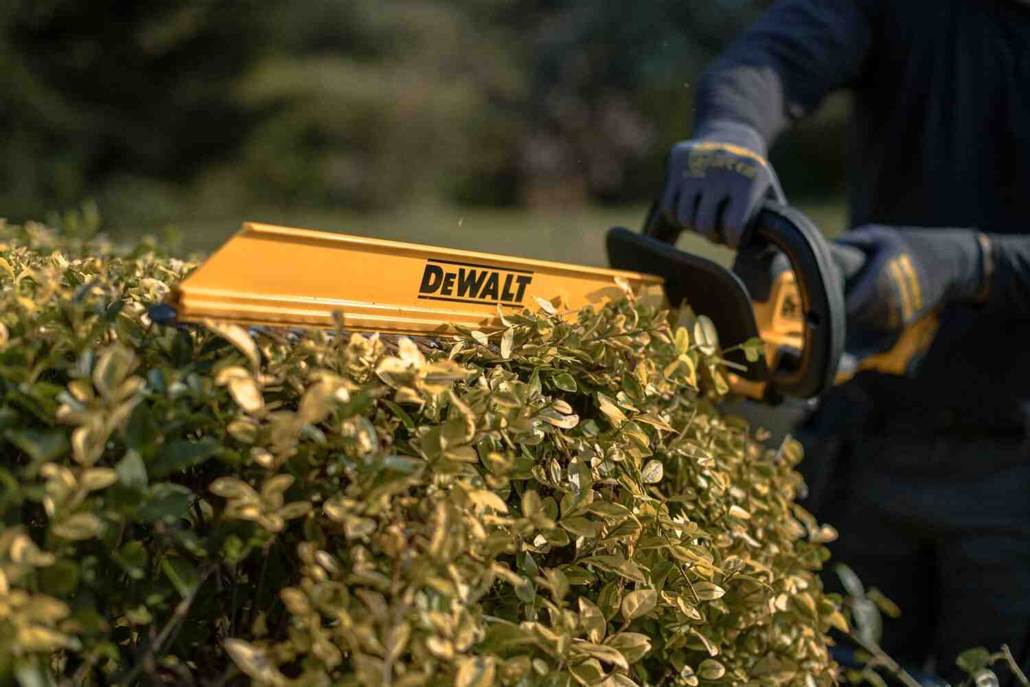 Кущоріз акумуляторний DeWALT DCMHT564N