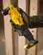 Дрель угловая STANLEY FATMAX SFMCD750B